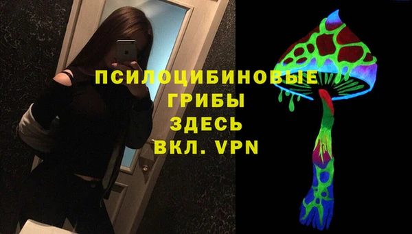 твердый Алексин